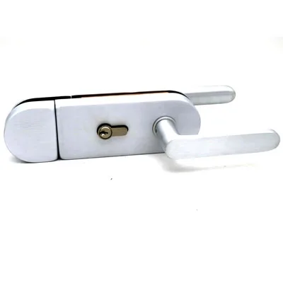 ZMD122-1611 Стеклозамок магнитный